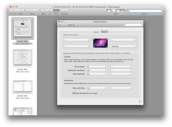 lion-screenshot-preview