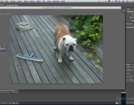 Adobe rilascia la beta pubblica di Photoshop CS6
