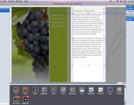 Goldfish Professional, tutto il necessario per creare siti Web professionali… in promozione!