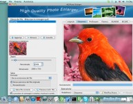 HQ Photo Enlarger: ingrandimenti foto semplici, veloci e nitide