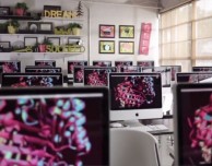 Gli iMac aiutano la ricerca di una cura contro il cancro