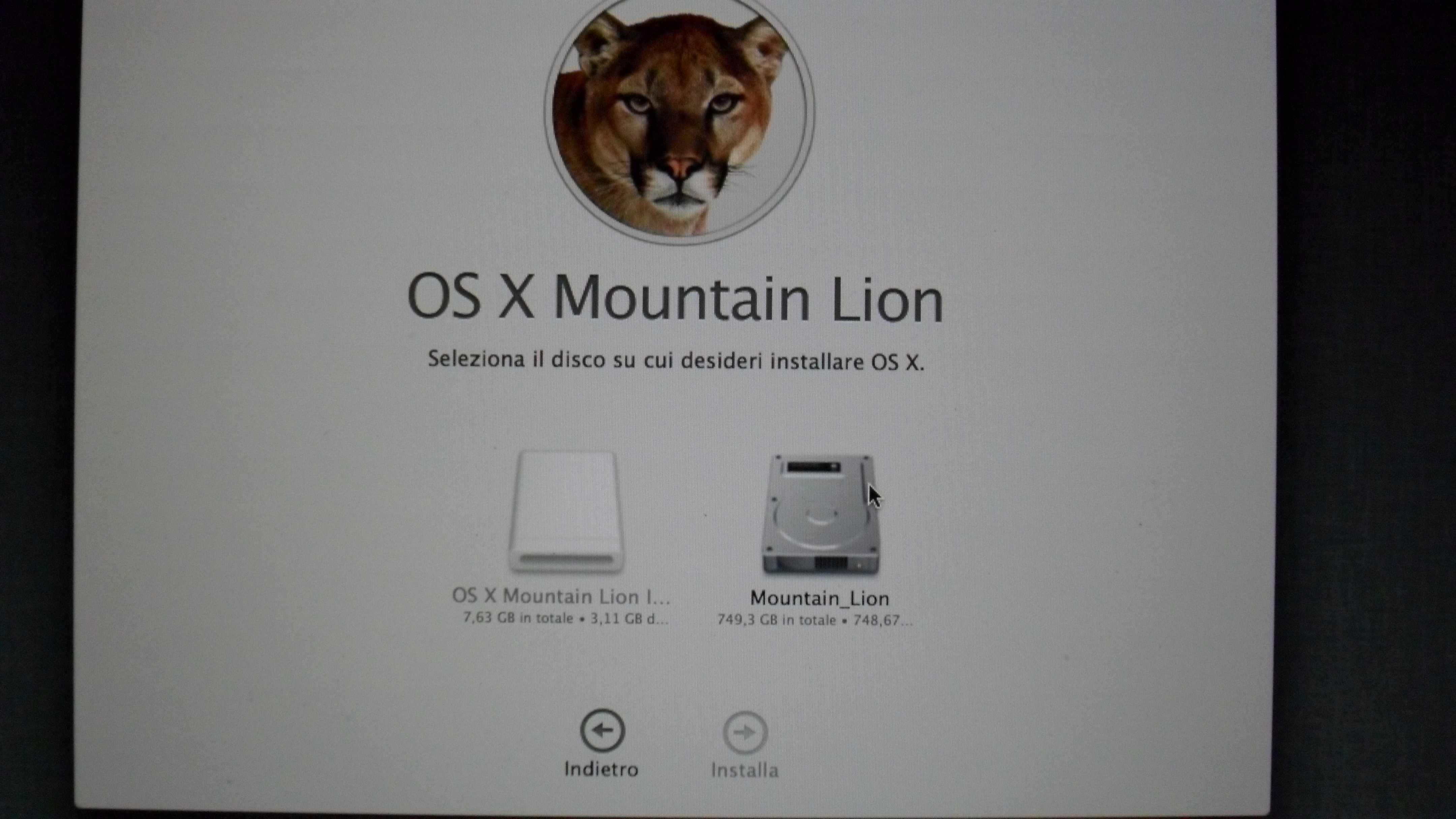 LION SU CHIAVETTA SCARICARE