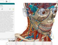 Atlante di anatomia umana edizione 2017 disponibile su Mac App Store