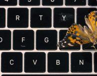 Apple si scusa con i clienti MacBook che hanno riscontrato problemi con la nuova tastiera