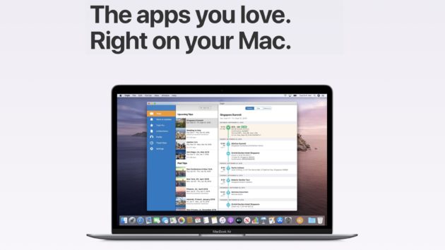 supporto catalyst apple